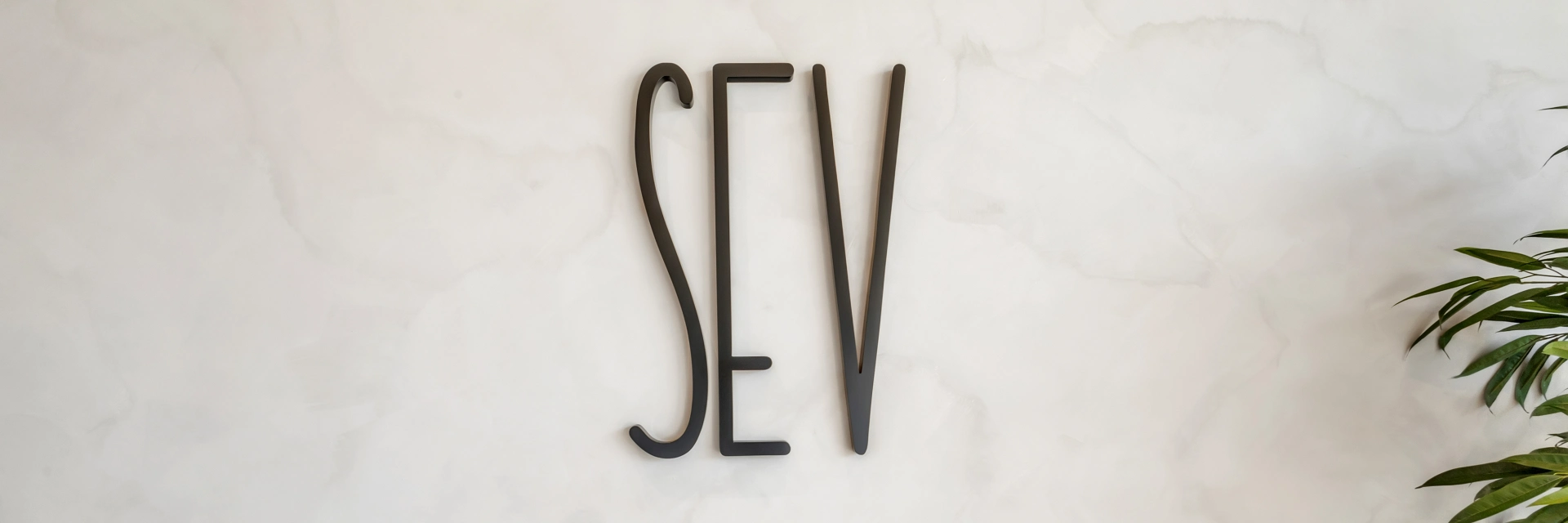 SEV Minneapolis